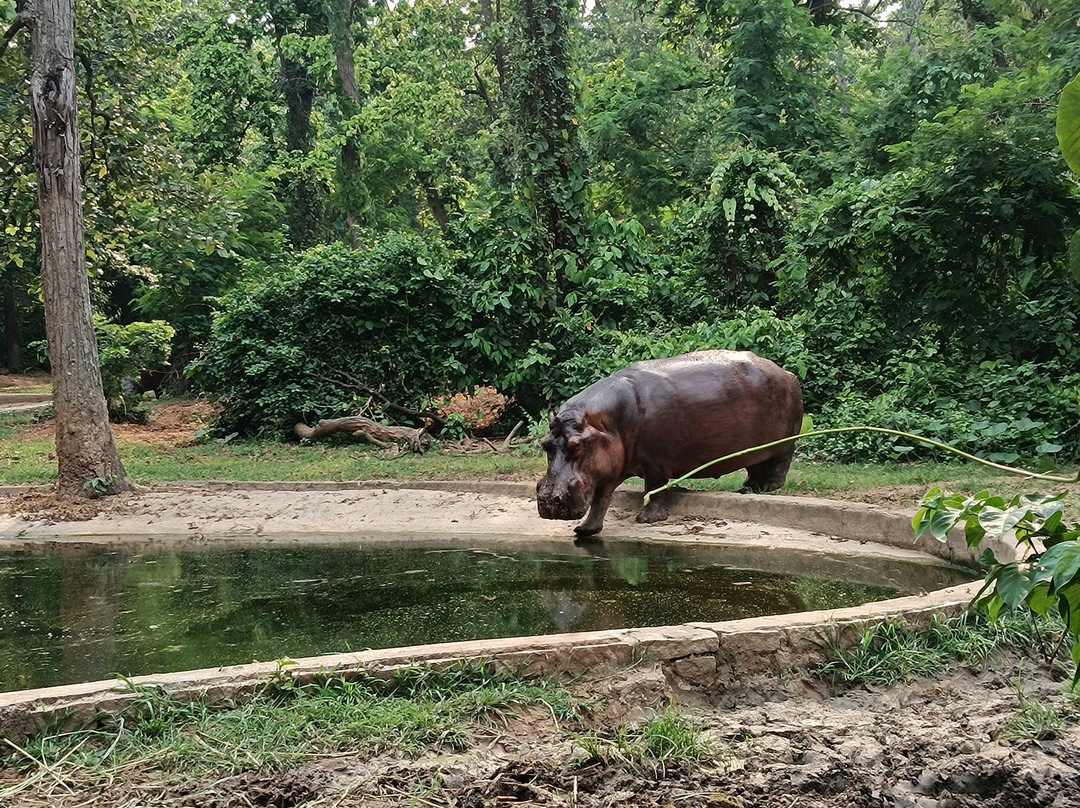 Birsa Zoological Park-兰契必去景点