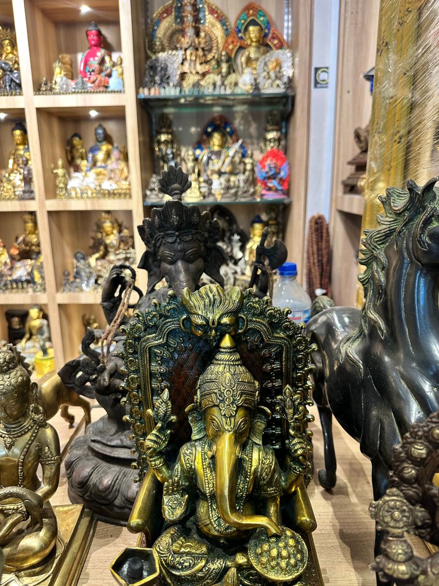 拜拉瓦，悉达多维拉萨酒店-旅行者