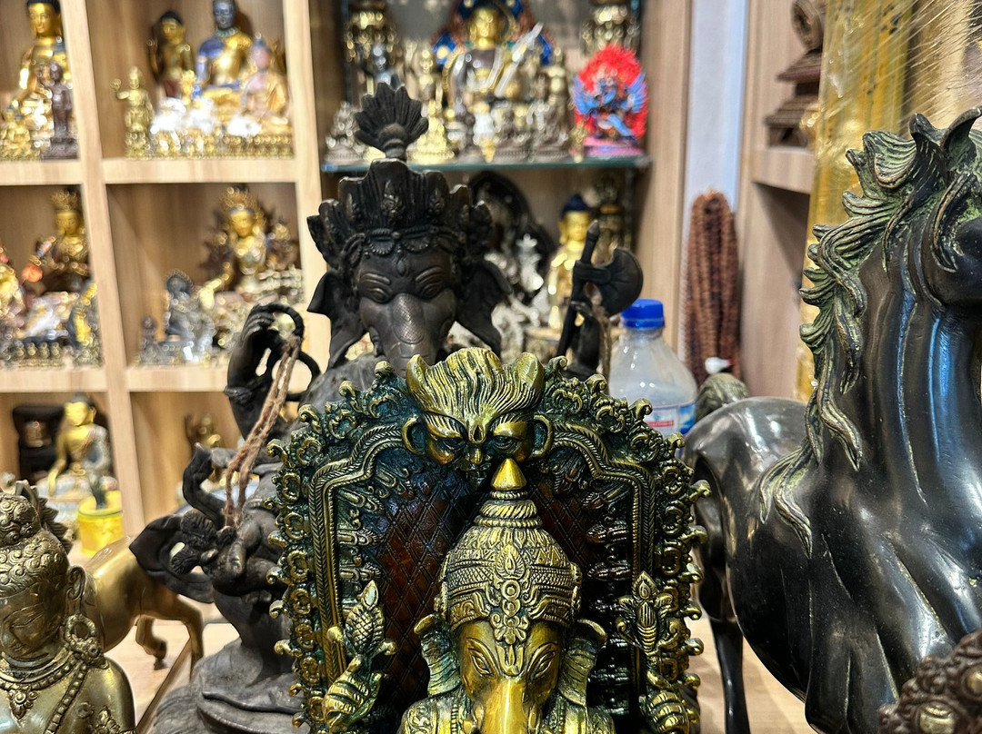 拜拉瓦，悉达多维拉萨酒店主图
