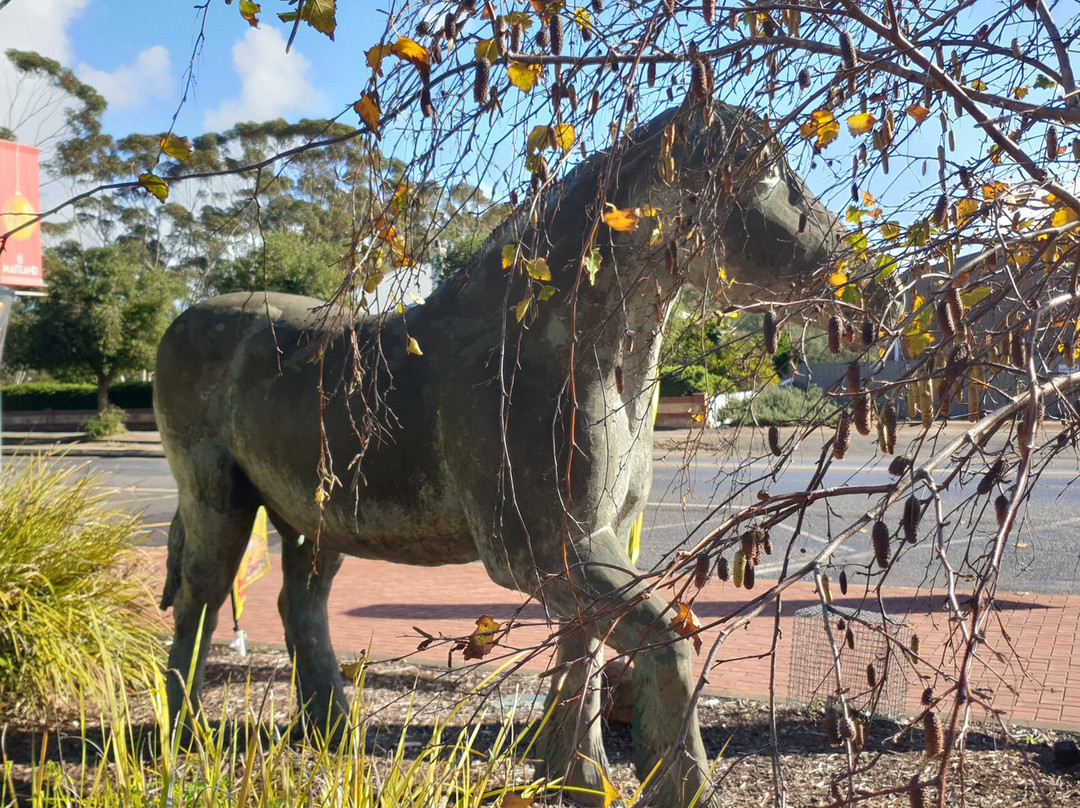 Clydesdale Memorial-Maitland必去景点