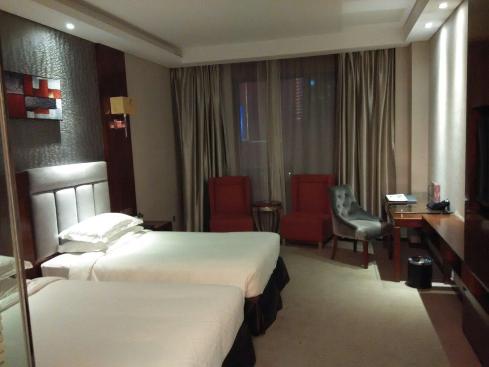 国宾·半岛酒店-客卧