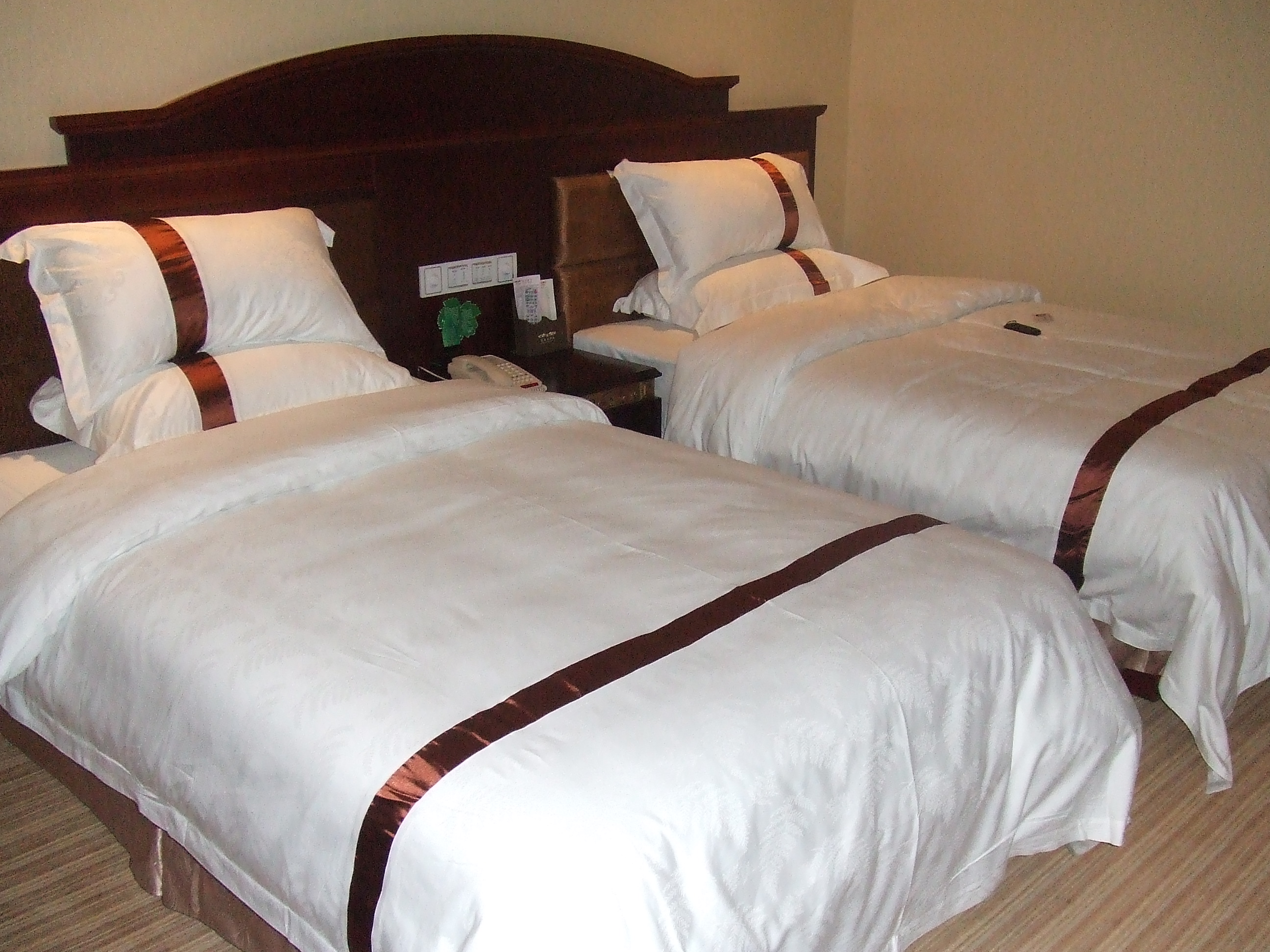 龙珠大酒店-客卧