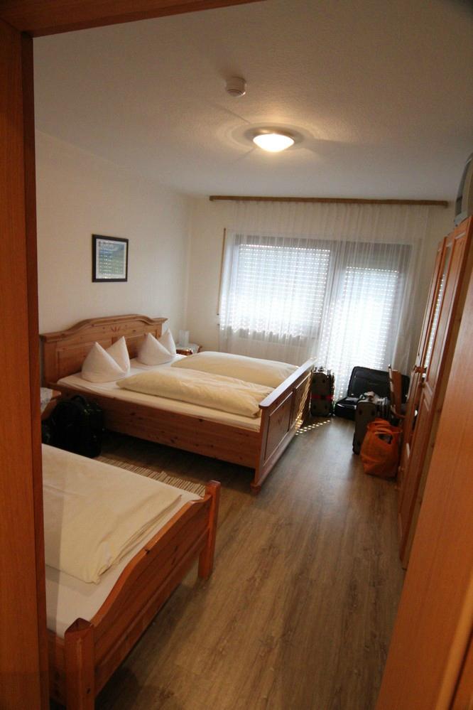 Neckarperle Hotel-客卧