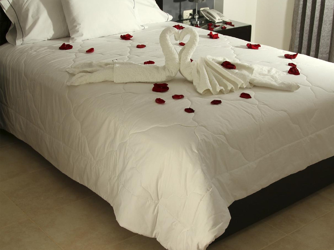 La Victoria酒店住宿-Hotel Vanetom