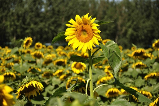 房山长沟土城-北京市必去景点