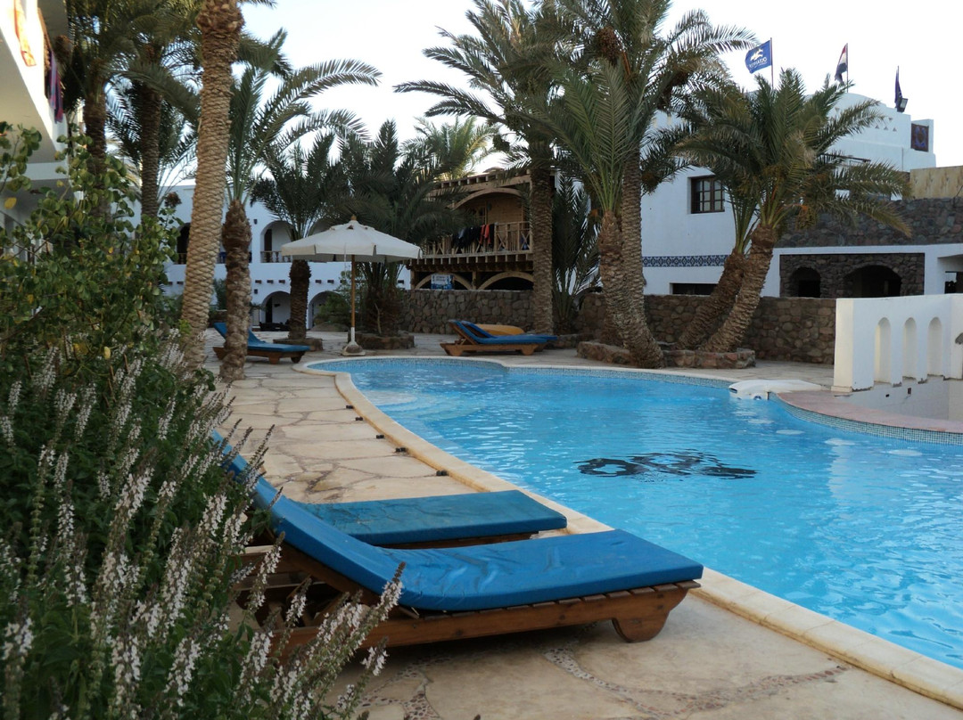 Dahab Divers South Sinai Hotel & Dive center