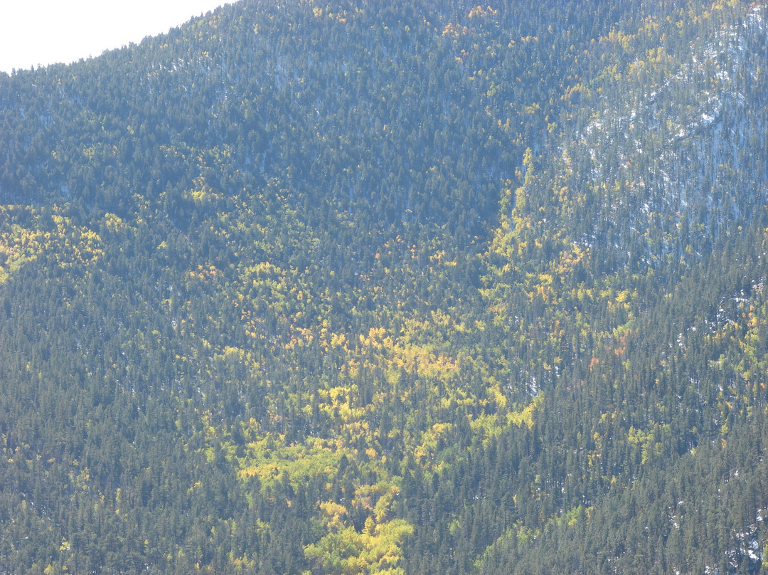 Sangre De Cristo Motel