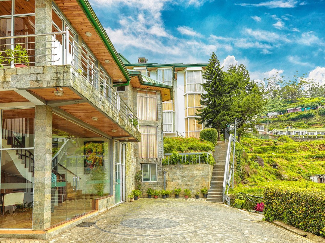 Oak Ray Summer Hill Breeze