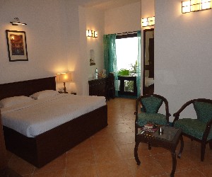 Udipi Venus Lodge-客卧
