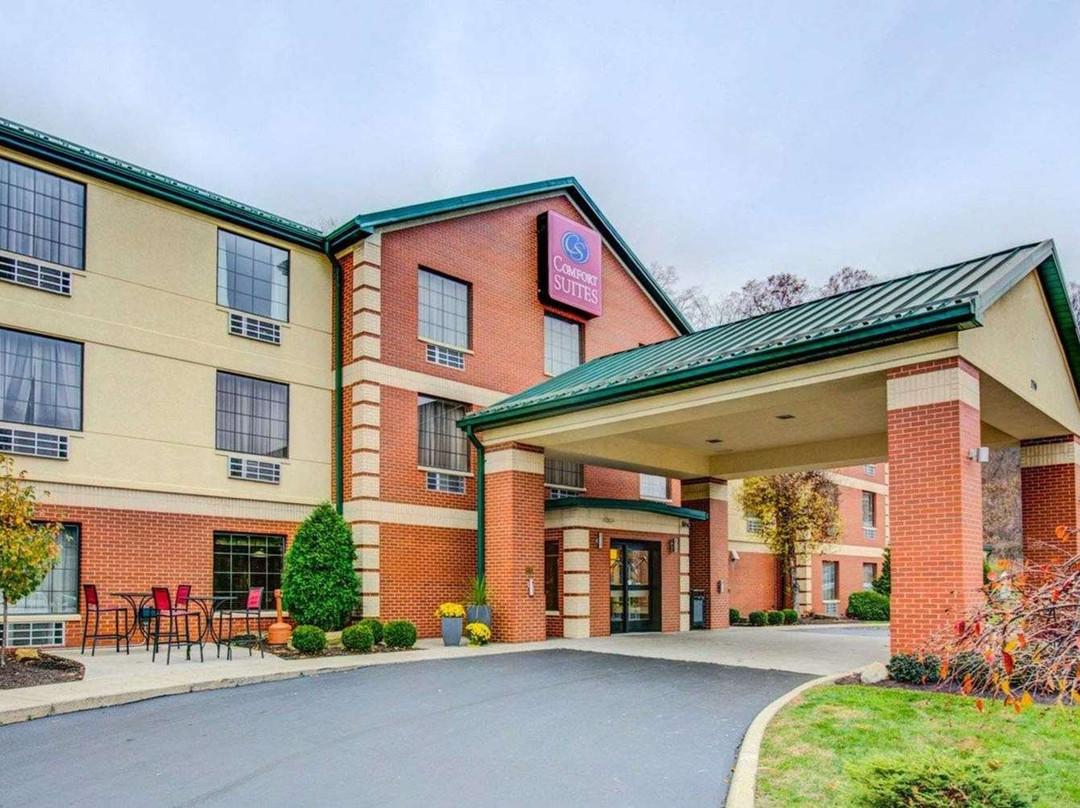 Comfort Suites Pittsburgh Airport主图