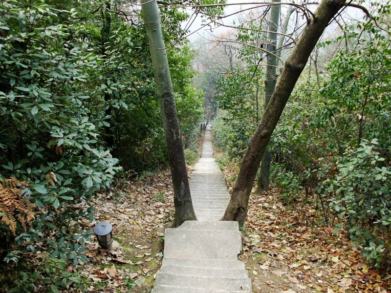 东台山国家森林公园景点图片