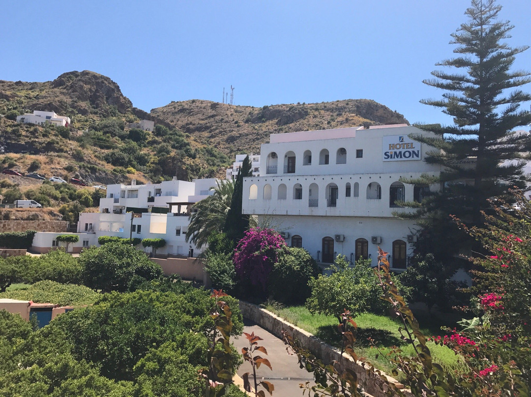 Hotel Simon