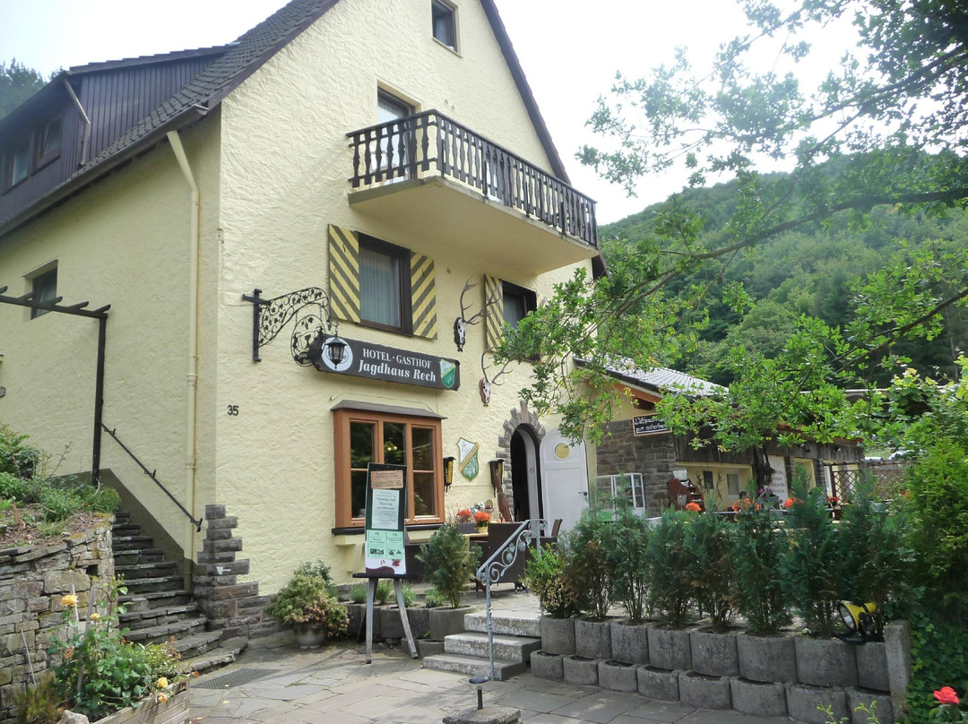Dernau酒店住宿-Jagdhaus Rech