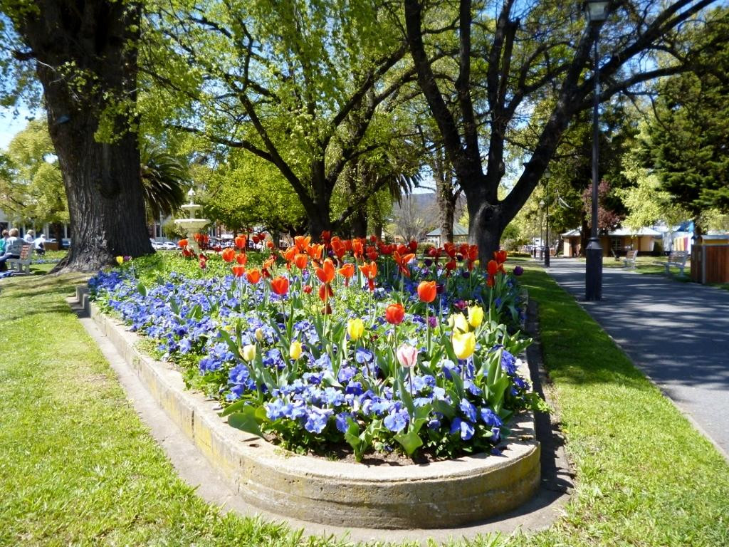 Belmore Park景点图片