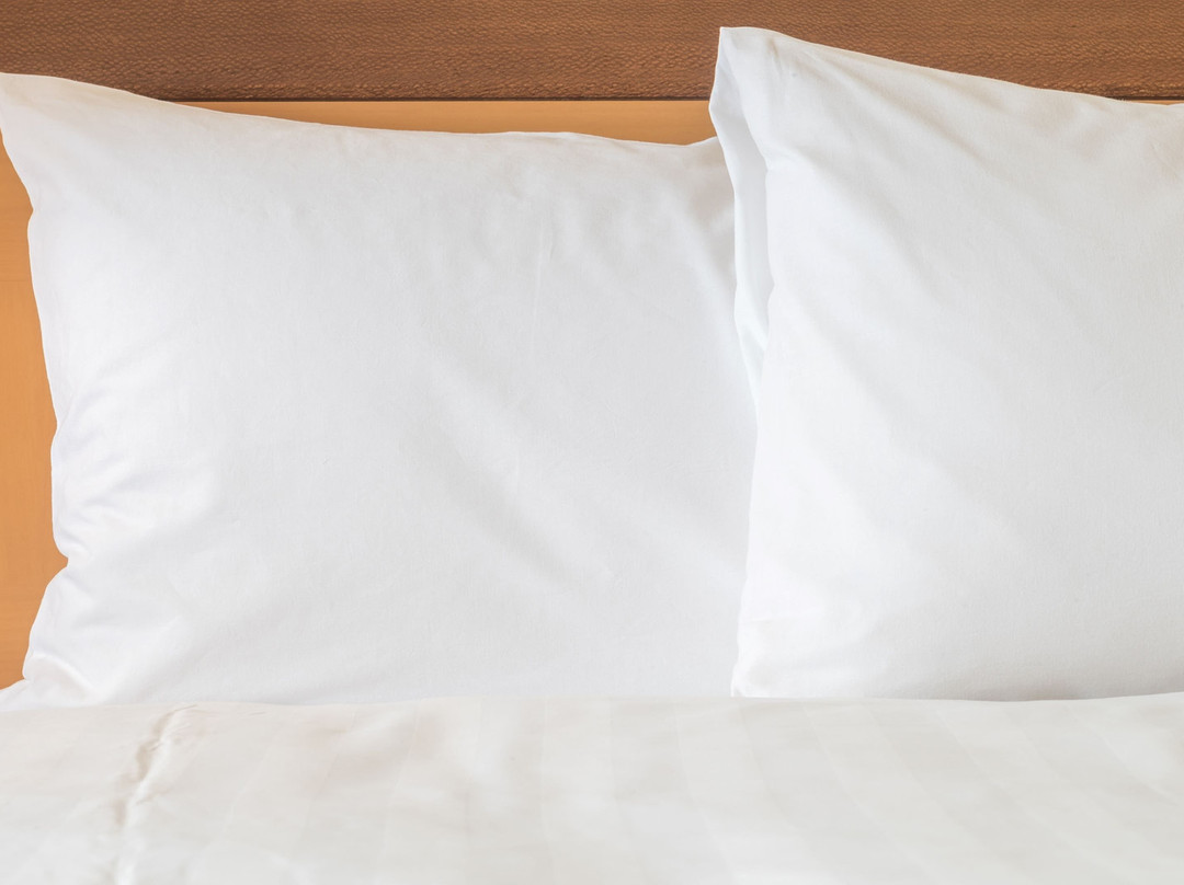 Holiday Inn Express & Suites El Reno By IHG主图