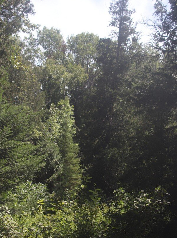 Crane River-托伯莫里必去景点