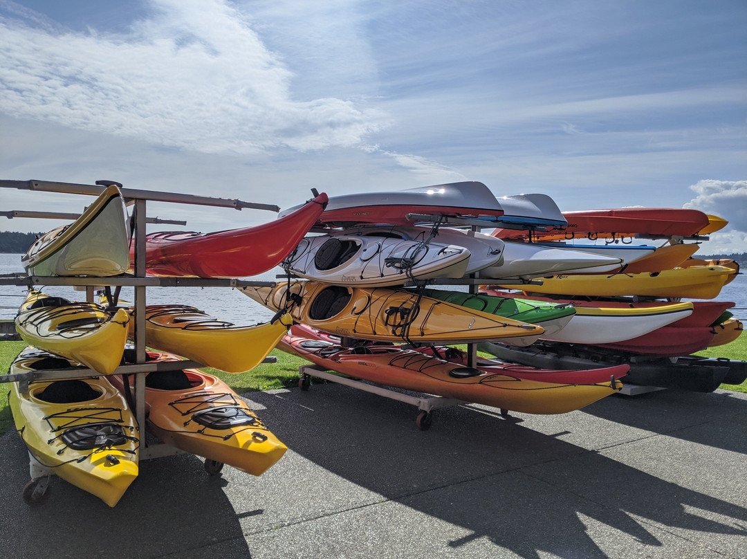 Sealegs Kayaking & Marine Adventures景点图片