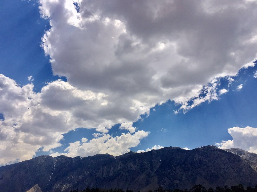 Buttermilk Country Loop