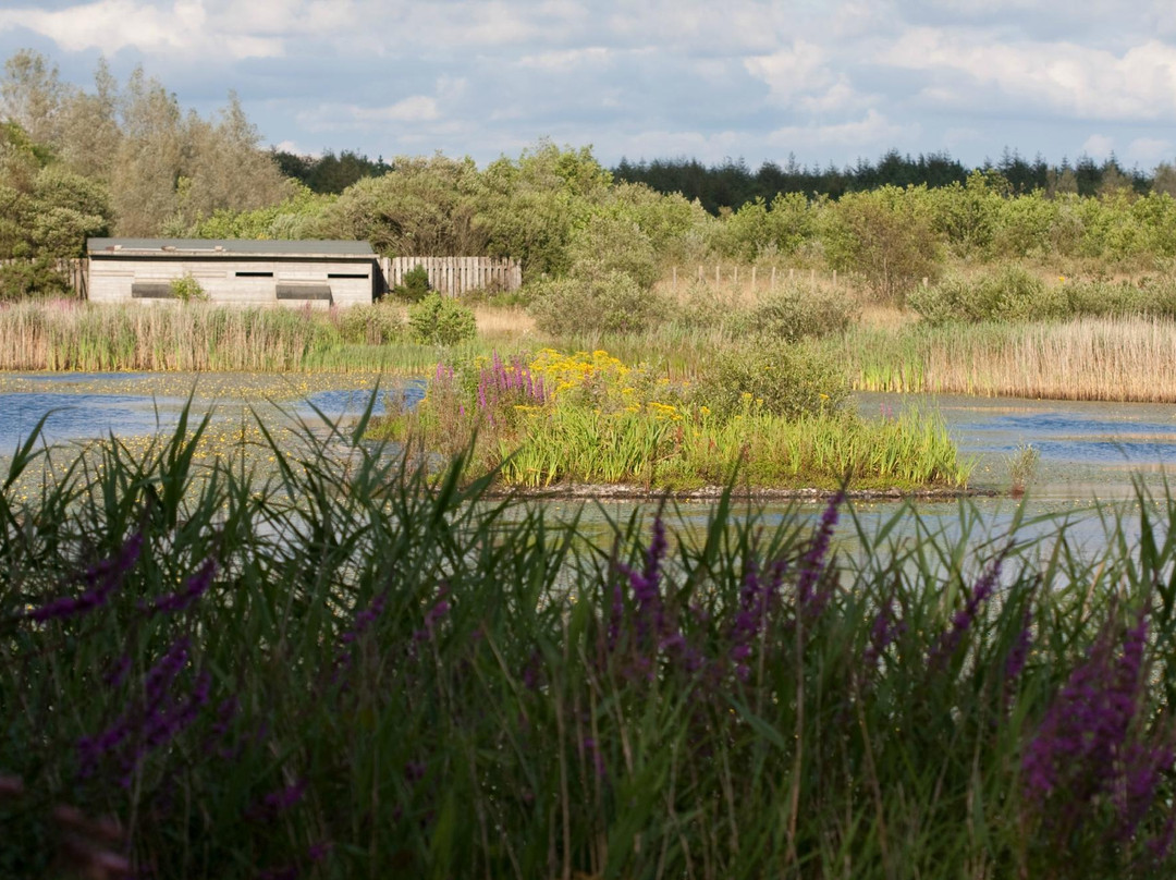 Parc Slip Nature Reserve景点图片