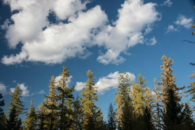 Blacktail Mountain Ski Area
