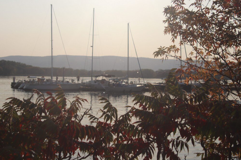Collingwood Harbour,collingwood-科林伍德必去景点
