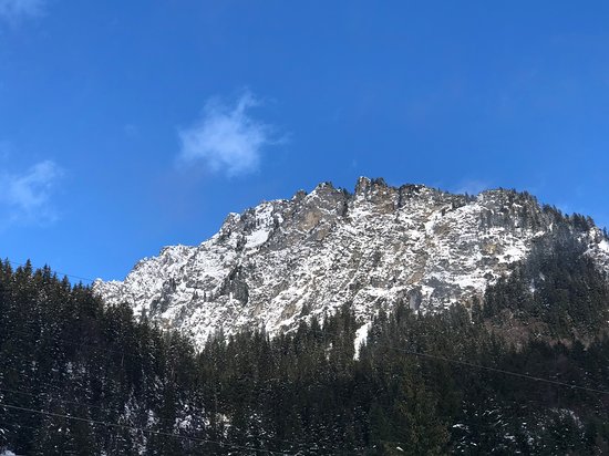 Haus zur Post-官方