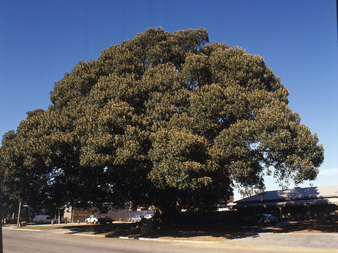 Travellers Rest Motor Inn