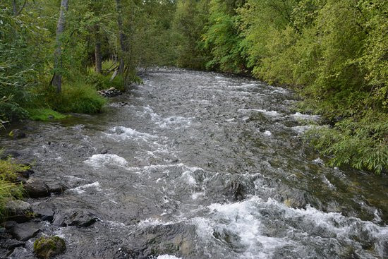 Belle Pepper's Bed & Breakfast主图