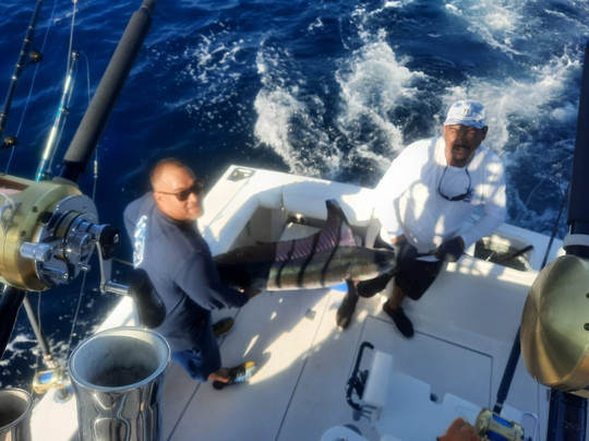 Doña Meche sportfishing-圣何塞卡波必去景点