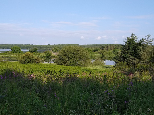 Lon Las Cefni-Llangefni必去景点