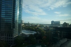 The Westin Atlanta Perimeter North-酒店景观