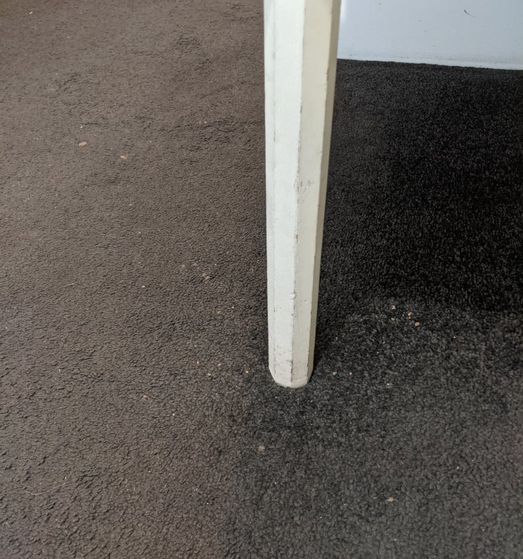 William Macintosh Motor Lodge主图