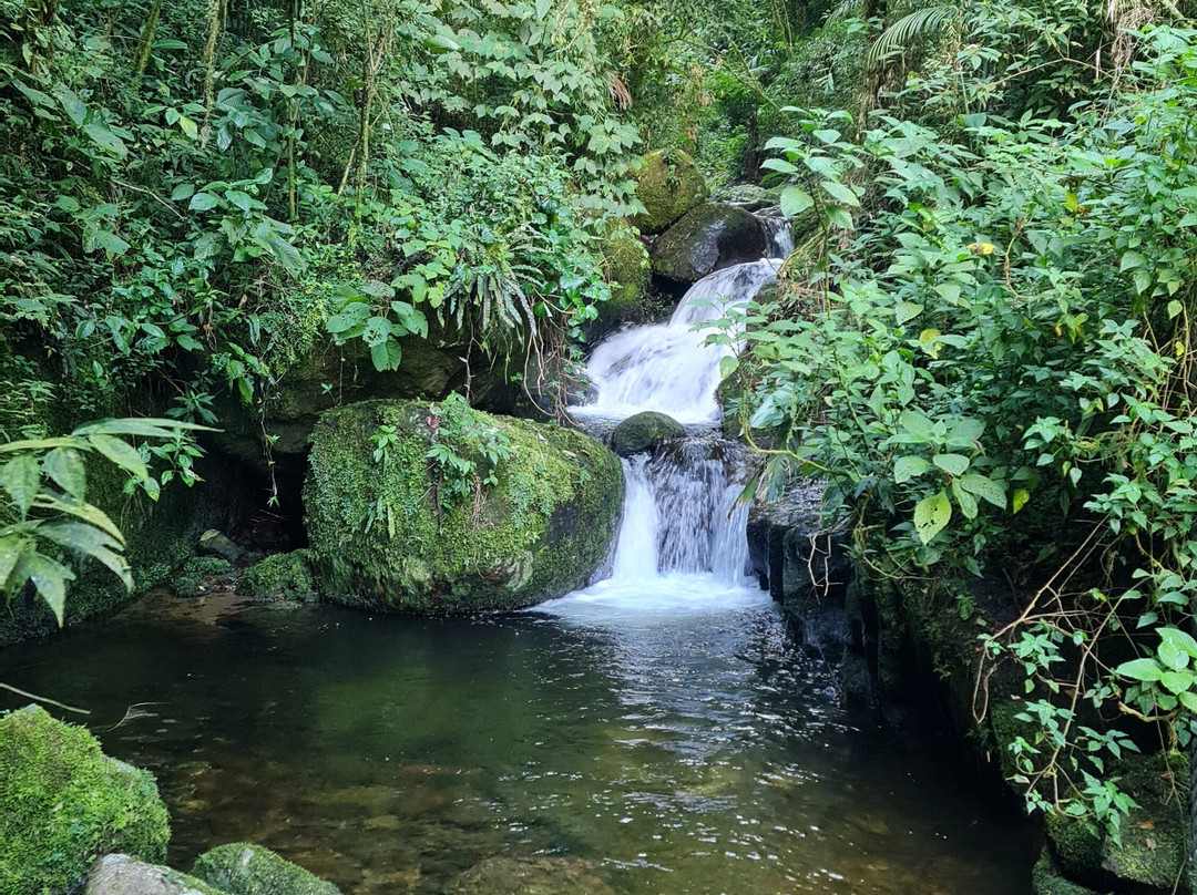 Cachoeira das Andorinhas-Sao Francisco Xavier必去景点