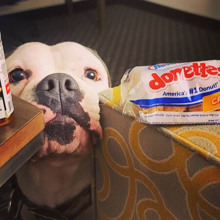 La Quinta Inn & Suites by Wyndham Panama City主图