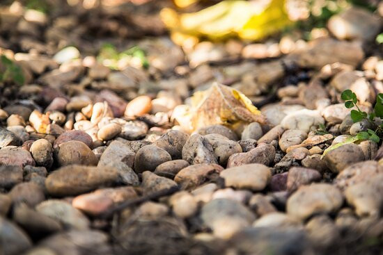 Château Tronquoy-Lalande-Saint-Estephe必去景点