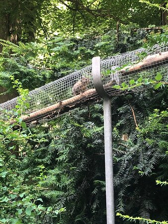 Zoo Neuwied景点图片