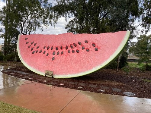 The Big Melon-Chinchilla必去景点