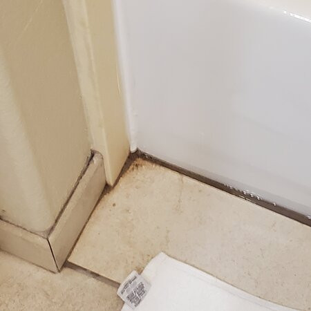 La Quinta Inn & Suites by Wyndham Mathis主图