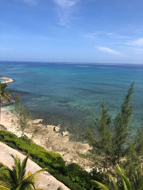 Hyatt Ziva Rose Hall主图