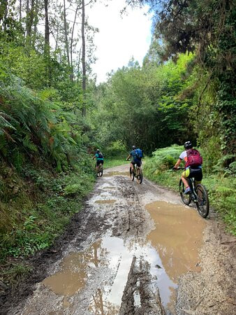 Astur E-Bikes景点图片