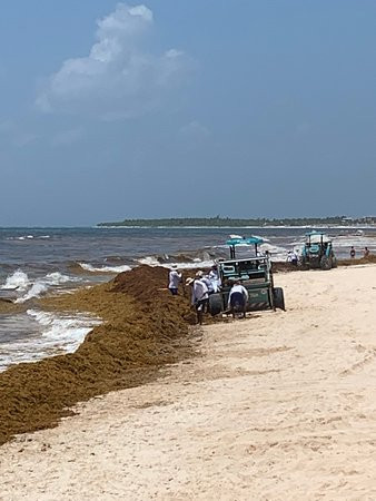Dressel Divers Cancún-坎昆必去景点