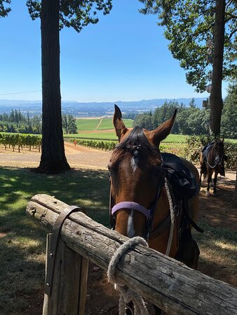 Domaine de Broglie-Dayton必去景点