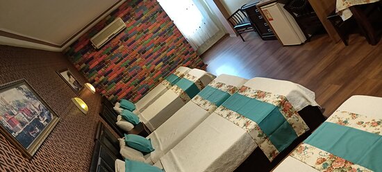 Adana Saray Otel-客卧