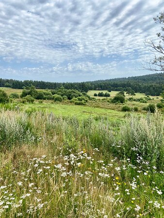 Chambres d'hotes La Fougeraie主图