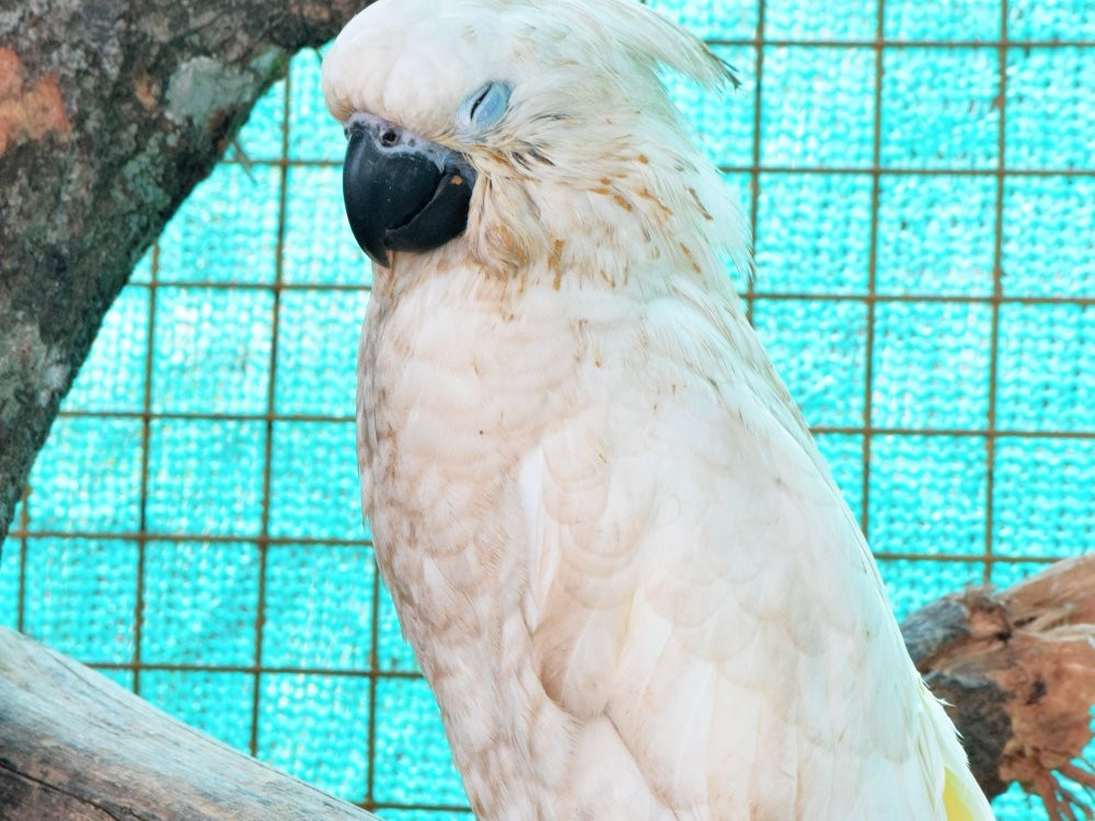 Fundera Park-Yelagiri必去景点