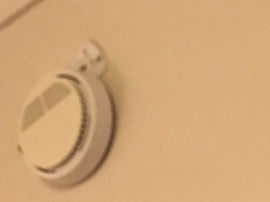 Braemar Motor Lodge主图