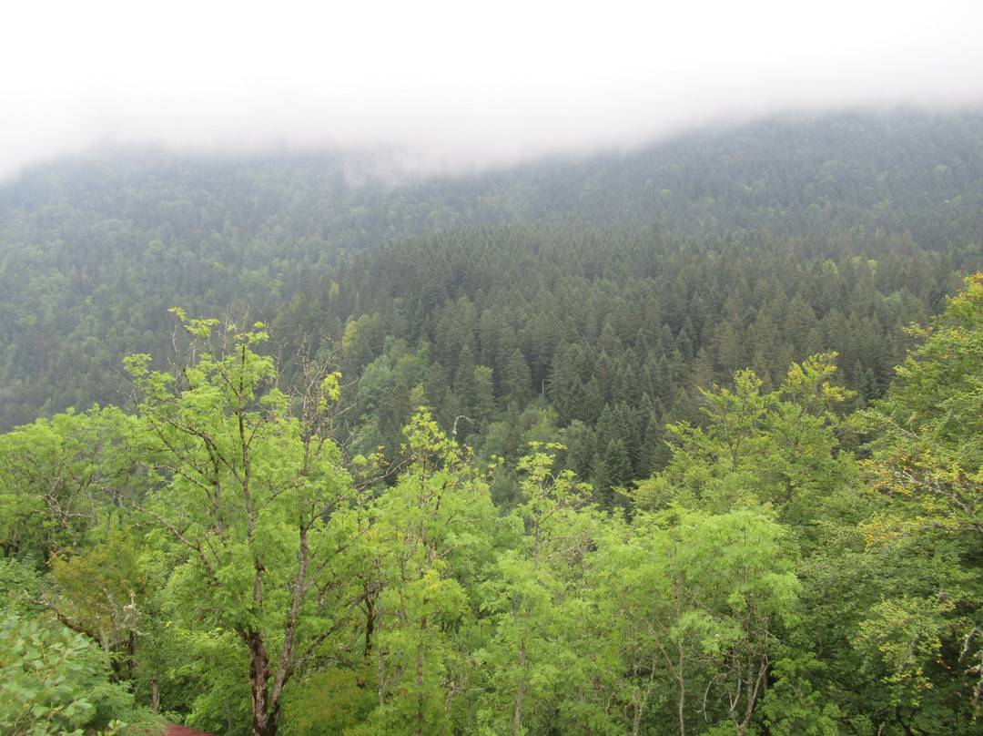 Ermitage Notre-dame-d'esparron