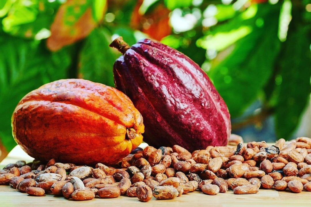 The Belgian Chocolate Makers SRL-布鲁塞尔必去景点