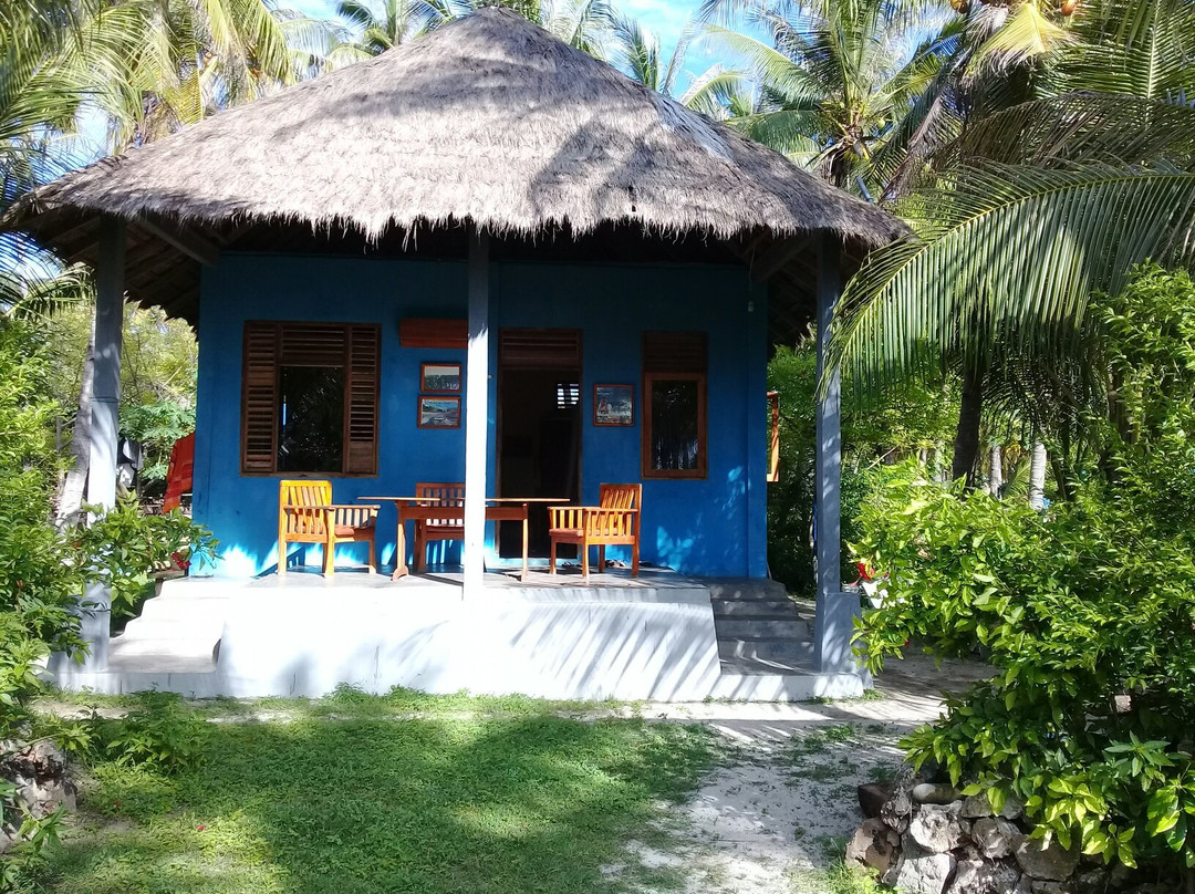 Nemberala Beach Surf School景点图片