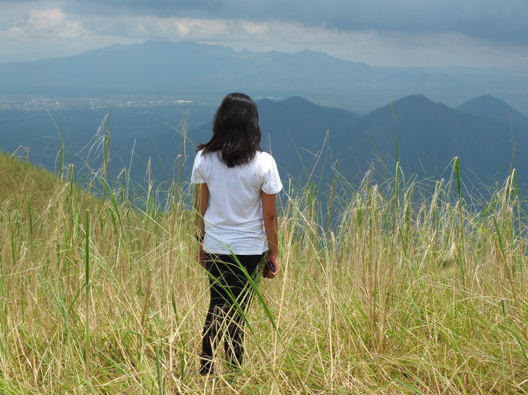 Mount Kalisungan景点图片